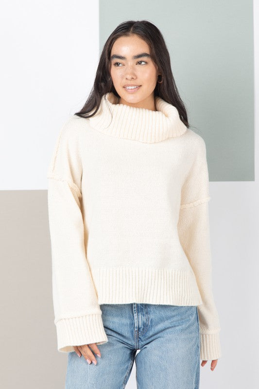 Turtleneck Solid Cozy Sweater Top - Cream